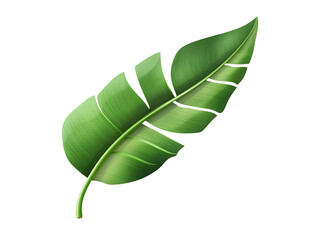 Fototapeta premium Banana leaf with ripped edges and glossy green texture isolated transparent background, png