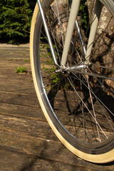 A full view of a bicycle wheel with spokes and rim clearly visible. Captures the geometry and function of cycling.