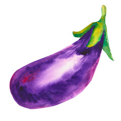 Eggplant isolated white background. Fresh watercolor vegetable. Watercolor botanical hand drawn illustration. Suitable for culinary designs, recipe, healthy eating, or organic food branding.
