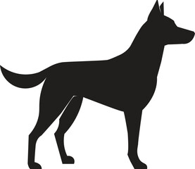 black dog isolated on white background