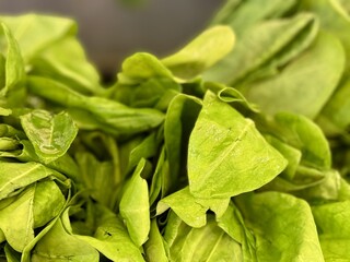 Exquisite assortment of dried herbs specifically designed for various culinary applications. This closeup image shows dried green herbs perfect for seasoning and enhancing flavors in various dishes.