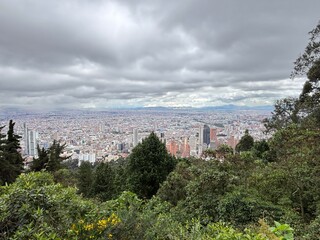 Vista de la ciudad por encima de arboles