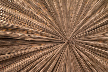 Radial wooden texture with natural brown fibers