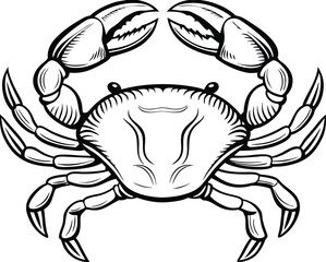 detailed crab illustration, black and white marine animal drawing vector