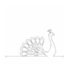 peacock vector illustration