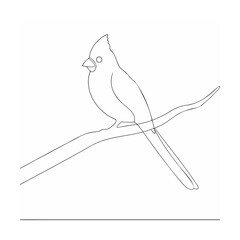 vector illustration of a bird