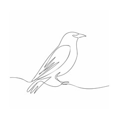 vector drawing of a bird