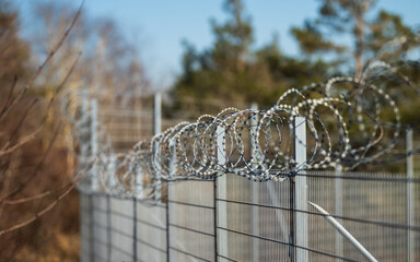 Extended razor wire fence protecting forest perimeter.