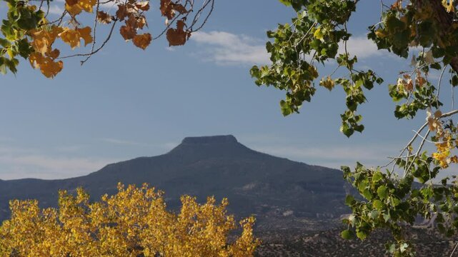 Cerro Pedernal, a distinctive northern New Mexico landmark, set off by dramatic autumn leaves
