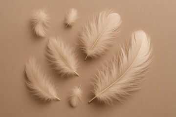Delicate beige feathers scattered on a soft, neutral background, creating a minimalist and calming composition with subtle shadows, perfect for serene and elegant designs.