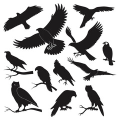 Collection of Bird Silhouettes Including Eagles Hawks Falcons and Owls