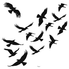 Silhouette of Birds Flying in Formation on a White Background