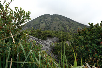 Green mountain with lush vegetation