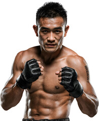 Male MMA Fighter in a Fighting Pose