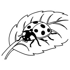 Obraz premium Ladybug resting on green leaf in minimalist black and white design 