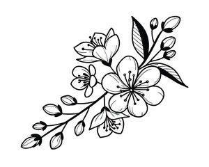 Elegant Black and White Floral Branch with Blossoms