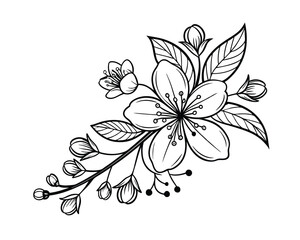 Elegant Black and White Line Art Flower Branch Illustration