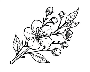 Elegant Black and White Line Art Cherry Blossom Branch