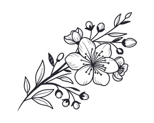 Elegant Hand Drawn Black and White Floral Branch