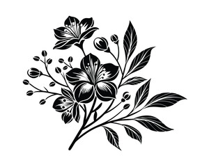 Elegant Black and White Floral Branch with Blossoms