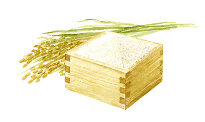 升に入った米と稲穂の水彩イラスト