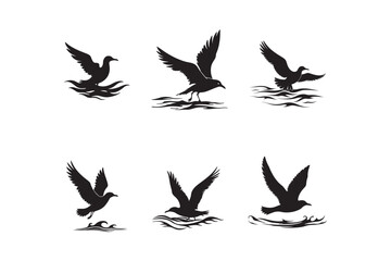 Seagull Bird Silhouette Vector Set with Waves for Nautical and Coastal Designs