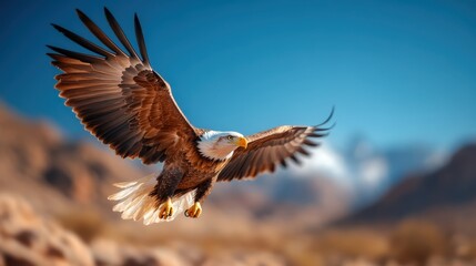 Obraz premium A majestic bald eagle soars gracefully through the sky, showcasing its stunning wingspan against a picturesque natural backdrop, symbolizing freedom and strength.