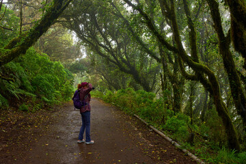 Obraz premium Woman photographing in Anaga forest