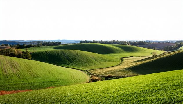 tranquil countryside landscape with rolling hills and farm fields isolated on transparent and white background cut out