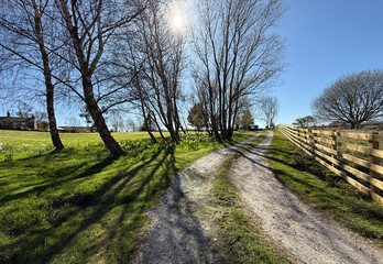 A path winds through a grassy landscape, lined by bare trees casting long shadows. A fence runs alongside the path, with a house in the distance under the clear blue sky in, Harden, Yorkshire, UK
