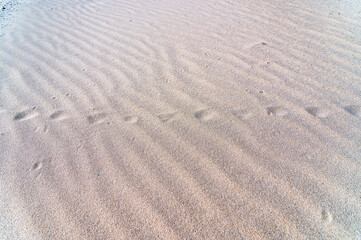 Pattern in the sand of a beach