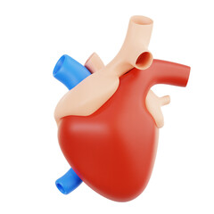 Heart
