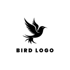 Flying bird logo design icon symbol vector illustration.