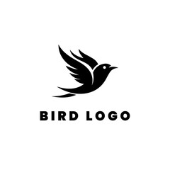 Bird Logo design template vector