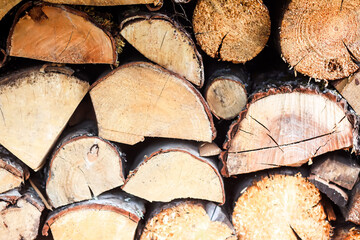Firewood pile on green grass.