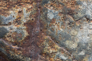 Closeup of colors and textures of rock
