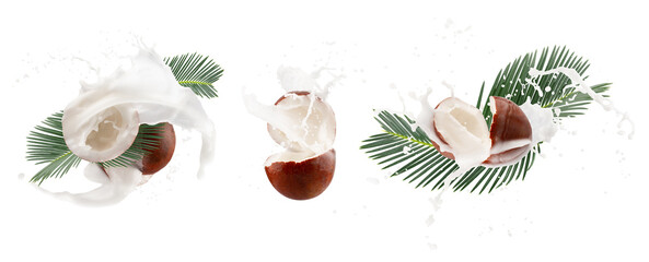 collection of coconuts with milk splash and palm leaves isolated on a white background