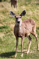 Yukon Territories, Canada