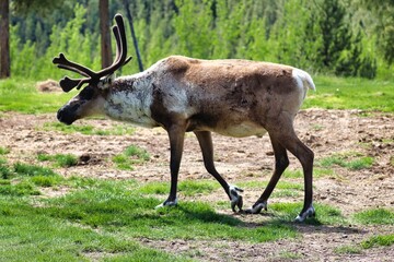 Yukon Territories, Canada