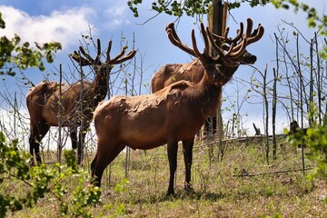 Yukon Territories, Canada