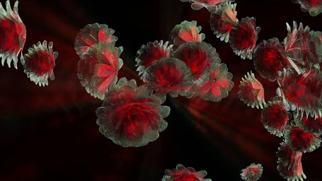 abstract technology motion background. rose flower concept with glowing moving seamless loop 3d animation. artistic classic flowers video background.4k
