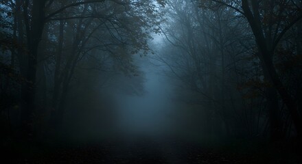 Naklejka premium Spooky forest path wallpaper eerie dark woodland scene mysterious woods foggy nature landscape photography on transparent background