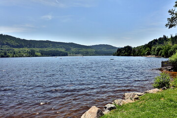 Der Titisee im Schwarzwald an einem sonnigen Tag im Frühsommer