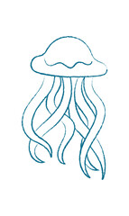 Jellyfish silhouette in chalk style. Aquatic creature with flowing tentacles. Marine life in the ocean, graphic doodle format, ideal for educational materials and summer projects.