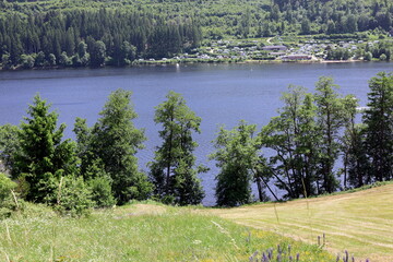 Der Titisee im Schwarzwald an einem sonnigen Tag im Frühsommer