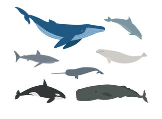 Vector set of flat hand drawn whales isolated on white background