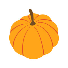 Autumn flat vector illustration: cozy pumpkin for fall seasonal design. Vector image for banners, cards, social media