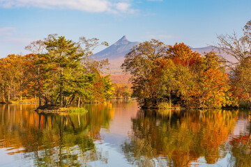 日本の風景・秋　北海道　紅葉の大沼公園
