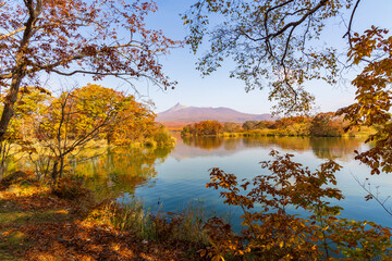 日本の風景・秋　北海道　紅葉の大沼公園