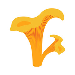Autumn flat vector illustration: chanterelle mushrooms for fall seasonal design. Hand drawn element for banners, cards, social media